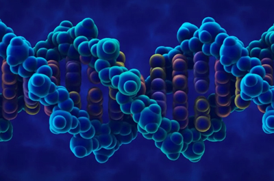 Animations button image - a dark blue and red toned DNA double helix with teal highlights all on a midnight blue background