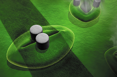 Journal Covers Button Image - a green plant surface with a dark band running across a pore that has two metal cylinders on either side of the pore